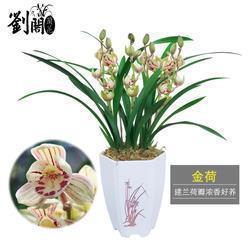 长舌之妇