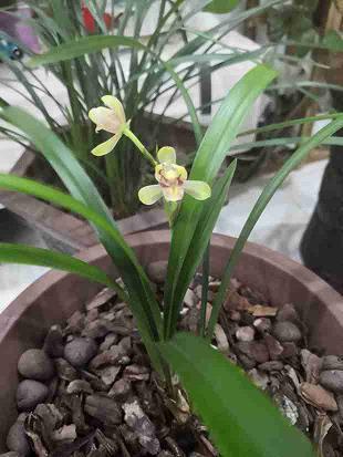 想一个人的心情说说 想念一个人的暖心说说合集87句