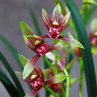 有关于七夕的空间说说31句