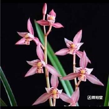 2020劳动节祝福短信
