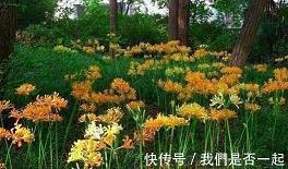 中秋节祝福语简短一句话给领导(精选77条)