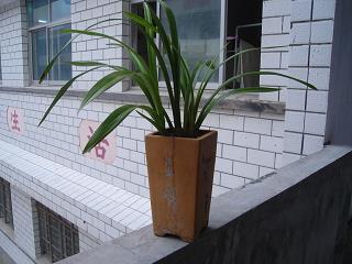 骏彩