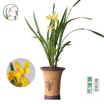 女生早上起床最想听的情话 早安撩人情话(精选60句)