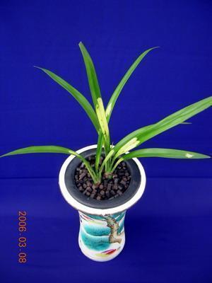 2021立冬暖心祝福语句子(精选83条)