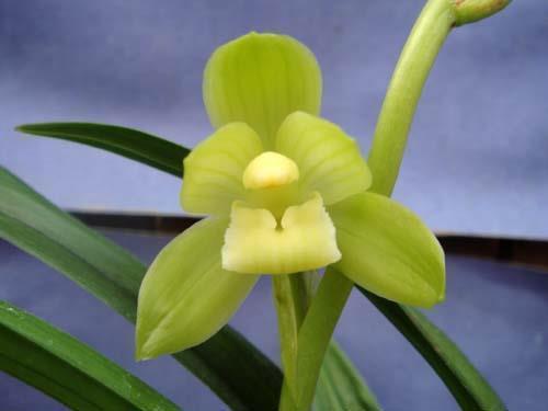 吃火锅的开心句子