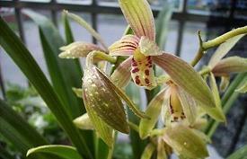 动漫中特别经典的句子汇总76句