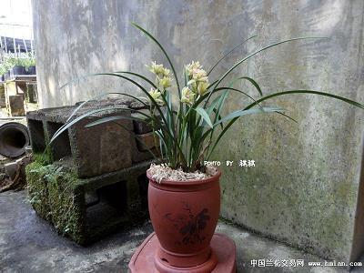 2020闺蜜18岁成年礼祝福语