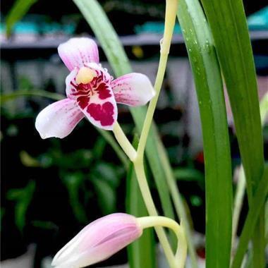 关于友谊的说说暖心的说说 关于友情的经典句子说说