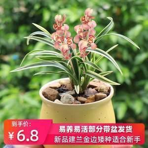 飘茵堕溷