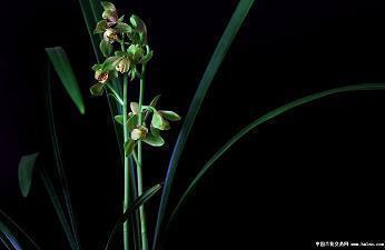 微信说说写到心窝里的短语说说