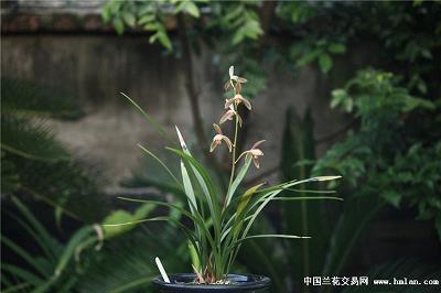 2021年愚人节个性祝福语简短一句话