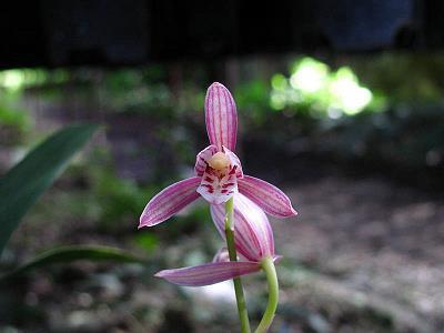 对男友表白情话最暖心一段话,超级有爱(精选45句)