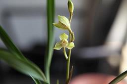 容易上热门的文案 抖音点赞最火最高句子汇总79句