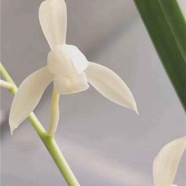 对男人失望心冷的句子说说心情