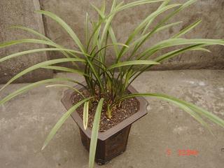 2021七夕告白语句简短 七夕表白文案简短