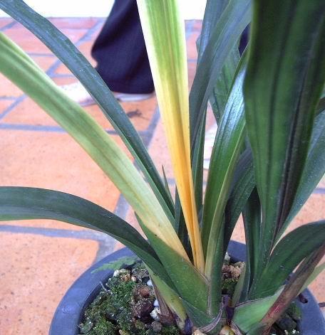 2020年元旦祝福短信