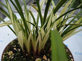 2021年九月再见十月你好说说大全(精选139条)