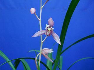 再见六月七月你好语录 六月再见七月你好说说汇总93句