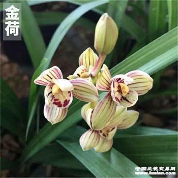 心情很受伤的说说大全 关于受伤的心情说说(精选47句)