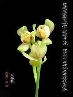 搞笑说说大全带图片