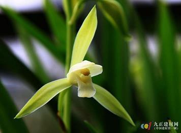 对老婆、老公失望心寒的句子