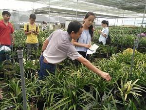 关于过年收到压岁钱了的心情说说 收到压岁钱的朋友圈句子