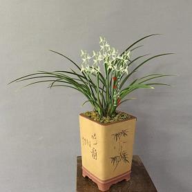 2020给好朋友结婚祝福语