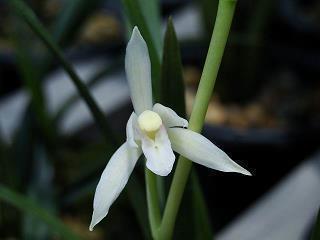 教师节朋友圈超火配文(精选83句)