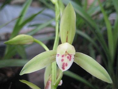 形容手气差的幽默句子 运气很差的说说短语