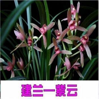 2021年四月你好的创意文案句子10句