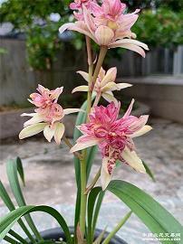 一句话伤感个性空间说说31句