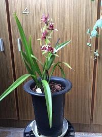 风微浪稳