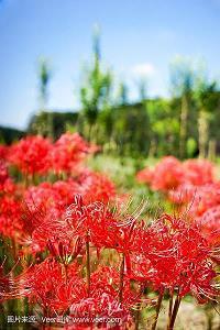中秋节祝福语 简洁大气2021年(精选74条)