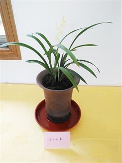 腿