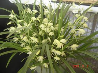 少女心爆炸的撩妹句子精选合集37句