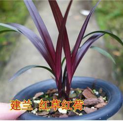 怎样在朋友圈暗示怀孕 暗示怀孕幽默句子(精选14句)