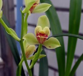 关于一碗水端不平的说说心情句子