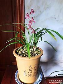 2021中考加油说说简短大全汇总34句