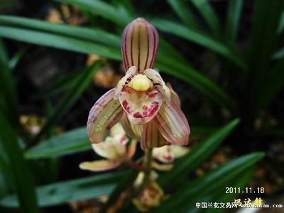 三观超正超干净的文案 一瞥惊鸿温柔仙句汇总82句