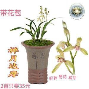 出游愉快的心情短语 旅游发朋友圈的精美句子(精选73句)