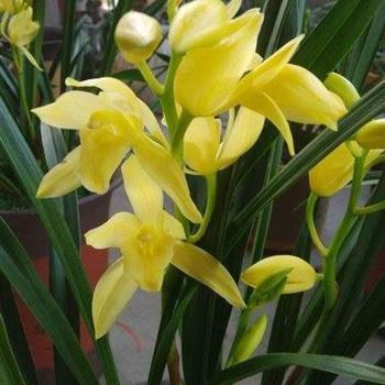 家家有本难念的经名言 家家有本难念的经说说