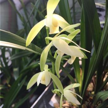 好姐妹开心的句子