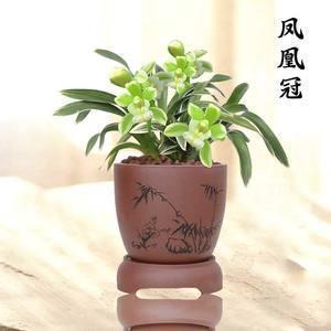 2021年春节贺卡祝福语简短