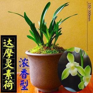 晚安说说 适合晚安的说说(精选17句)