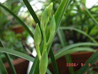 2020朋友聚餐祝福语大全