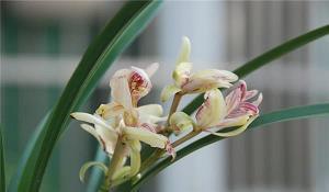 抖音正能量很赞的句子 抖音上吸引粉丝的励志句子24句