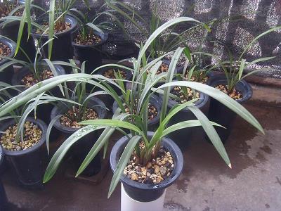 分手说说大全看完哭了 分手之后的说说(精选80句)