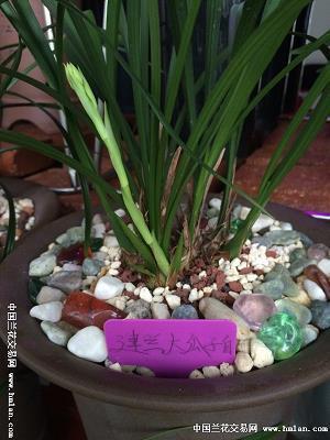 一个人孤独忧伤的说说14句