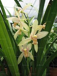 2021感恩节祝福语送老师(精选55条)