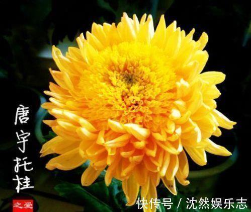 偶尔还是会有些心酸的心情说说 走过孤独走过悲伤的心情说说